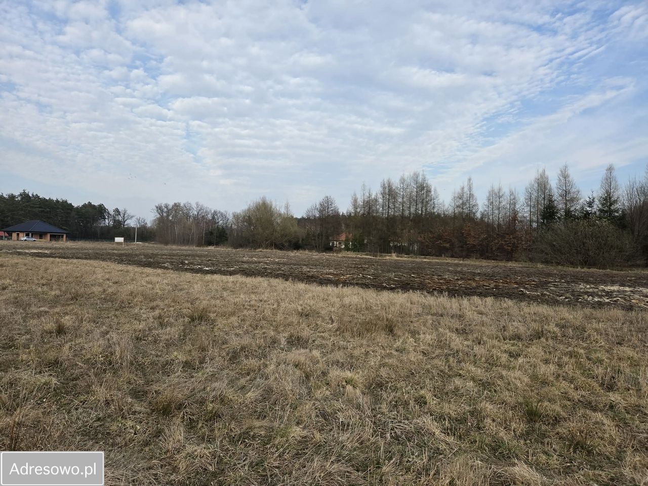 Działka rekreacyjna Komorów. Zdjęcie 1