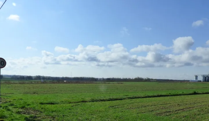 Nieruchomość komercyjna Borownica Laski, Zakładowa