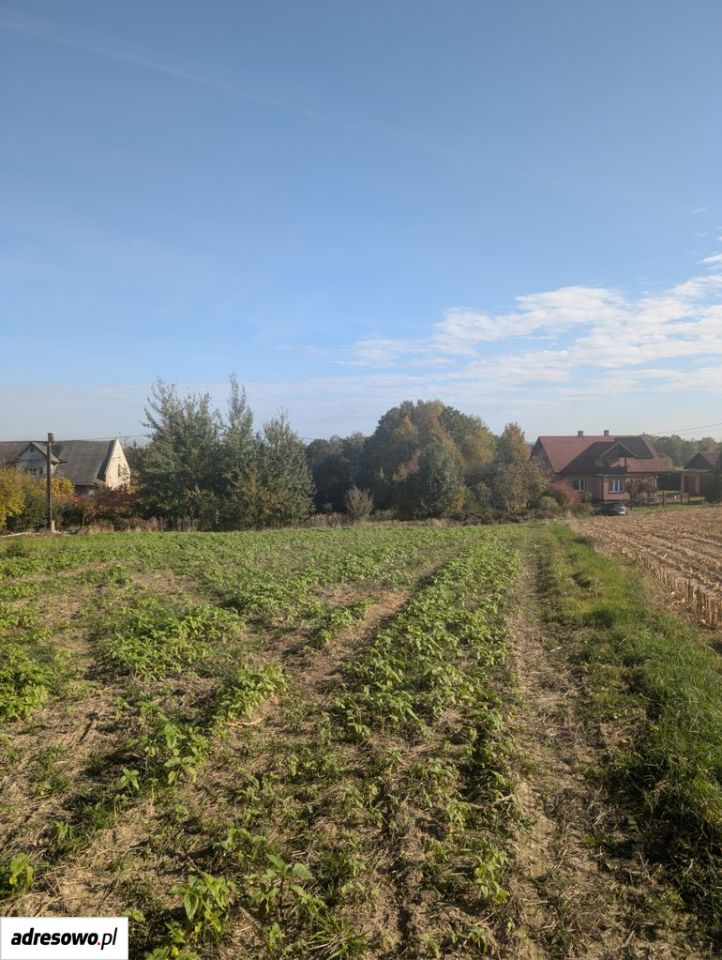 Działka budowlana Frydrychowice, ul. Górna. Zdjęcie 6