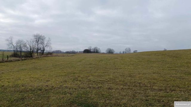 Działka rolna Probark. Zdjęcie 1