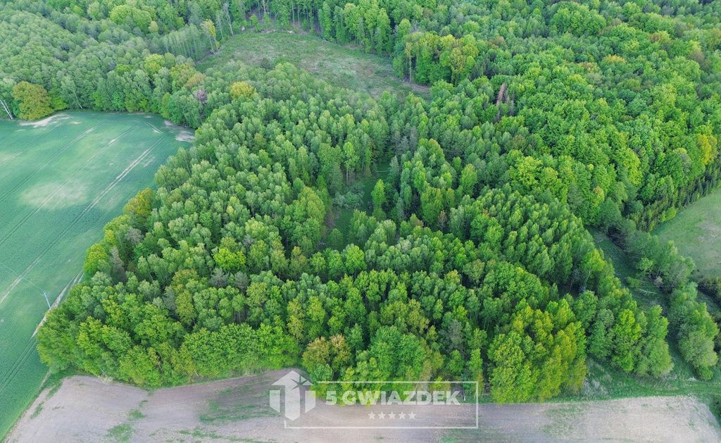 Działka budowlana Ostropole. Zdjęcie 18