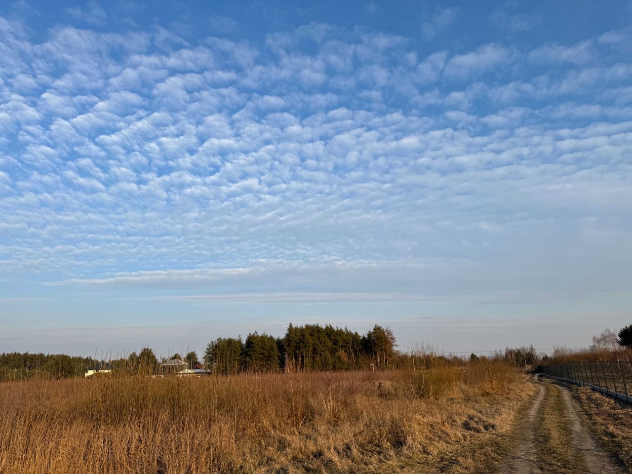 Działka rolna Kawęczyn. Zdjęcie 3