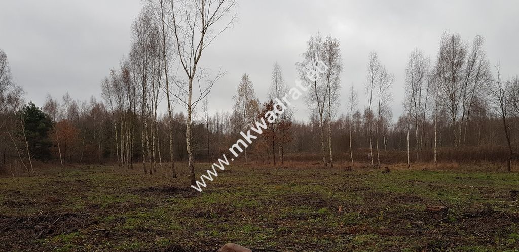 Działka budowlana Osowiec, ul. Szkolna. Zdjęcie 2