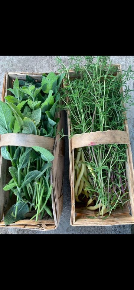 Działka rod Wrocław Brochów, ul. Wiaduktowa. Zdjęcie 3