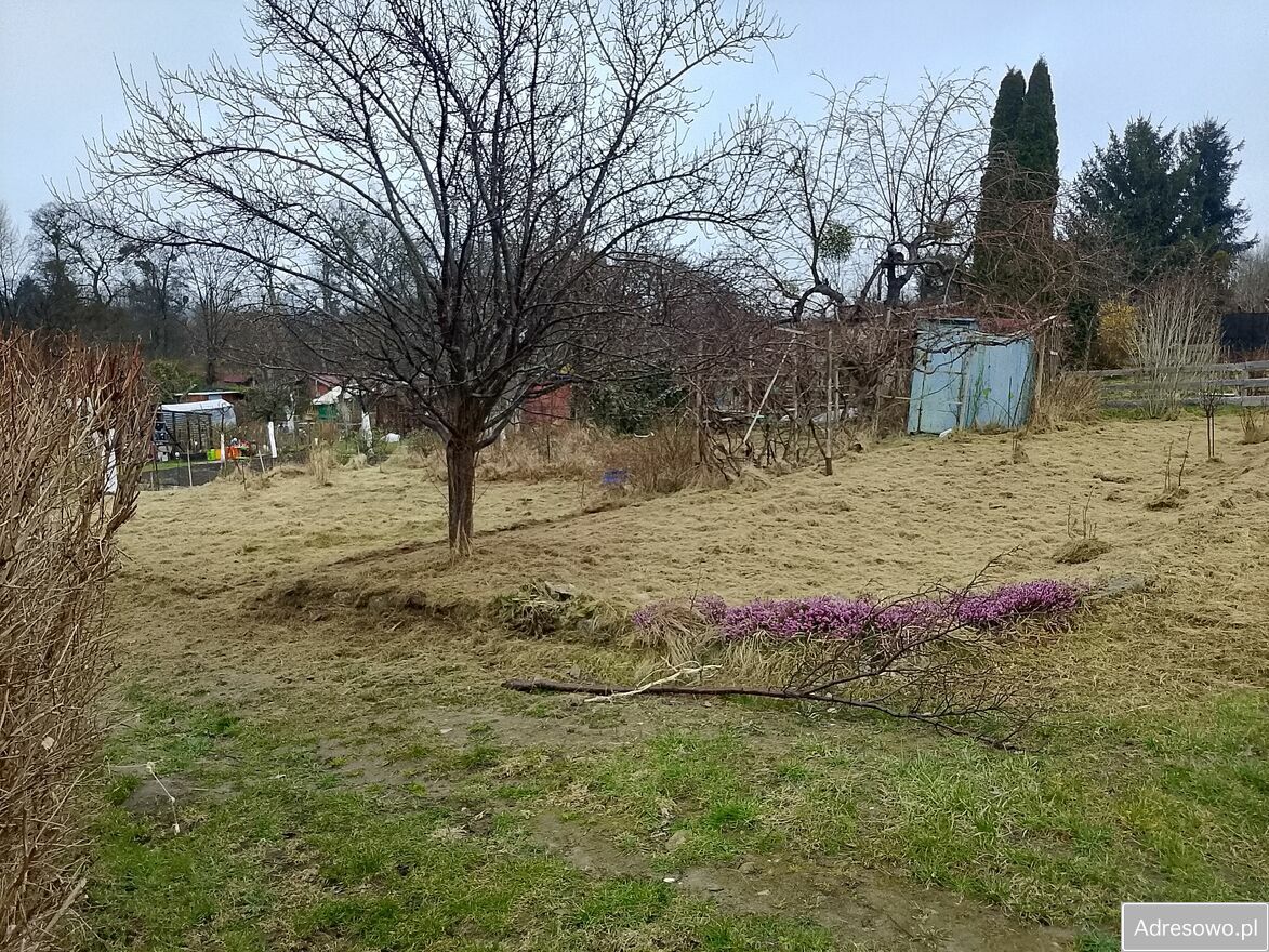 Działka rod Elbląg, ul. 13 Elbląskiego Pułku Przeciwlotniczego. Zdjęcie 3