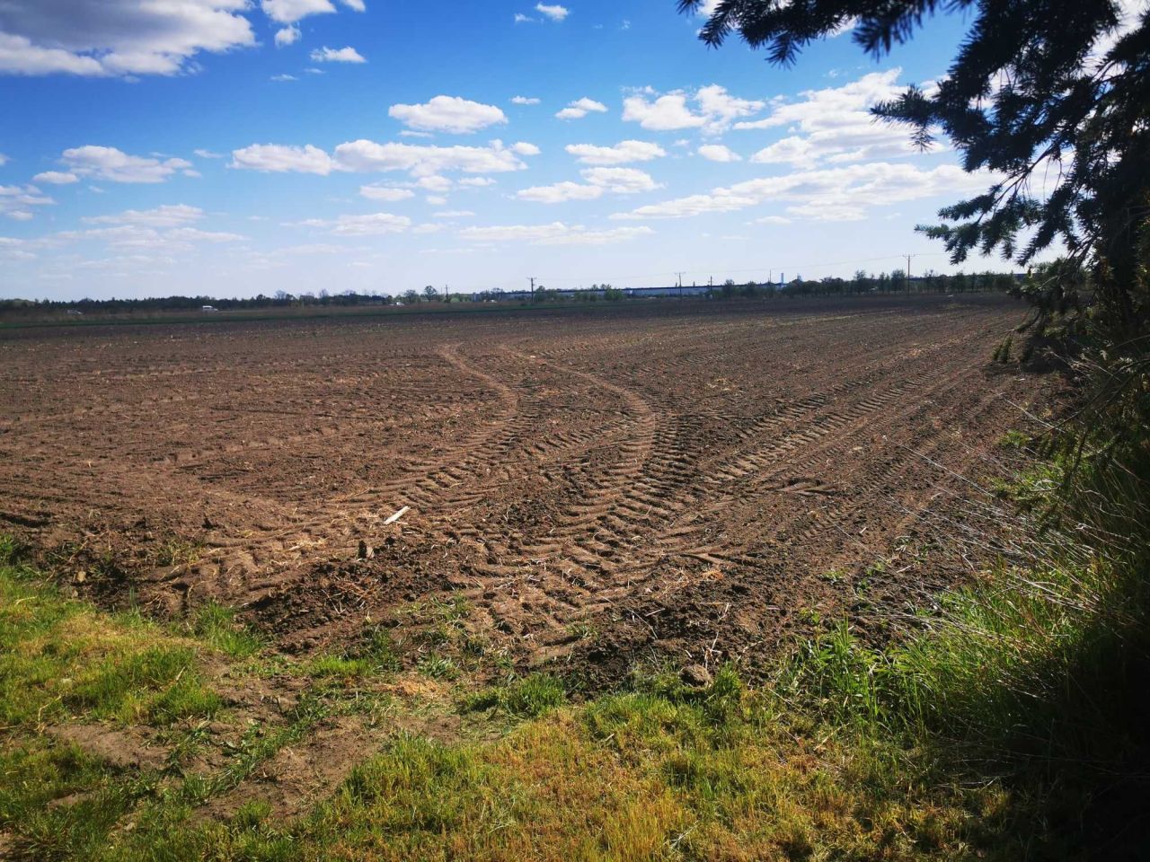 Działka budowlana Kryniczno, ul. Polna. Zdjęcie 2