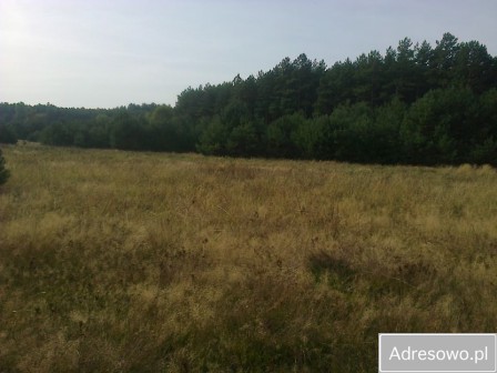 Działka rolna Piłka