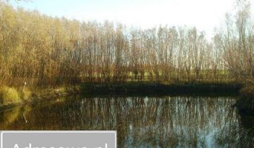 Działka siedliskowa Przybroda, ul. Kaźmierska