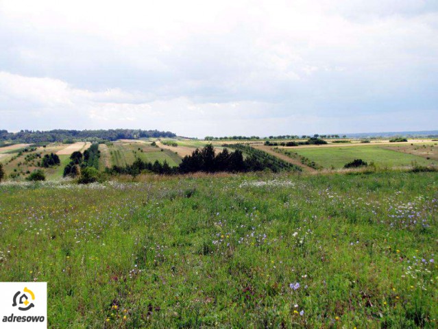 Działka budowlana Kazimierz Dolny. Zdjęcie 1