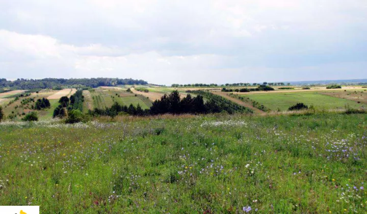 Działka budowlana Kazimierz Dolny