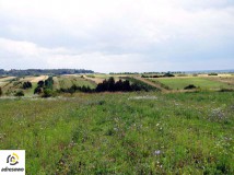 Działka budowlana Kazimierz Dolny