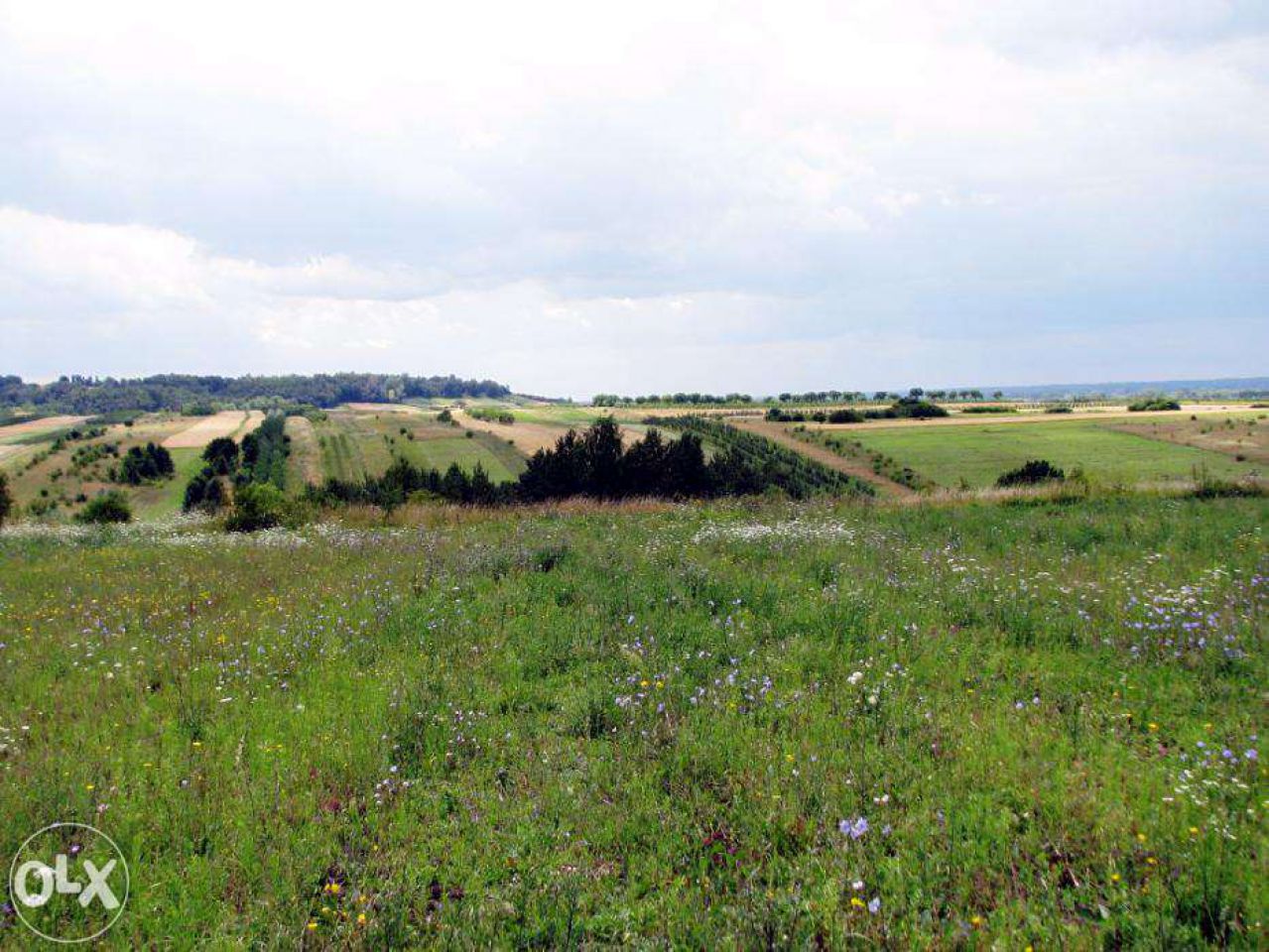 Działka budowlana Kazimierz Dolny
