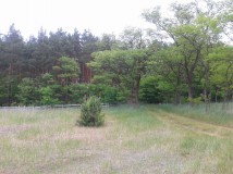 Działka rolna Pieczyska Iłowskie. Zdjęcie 1