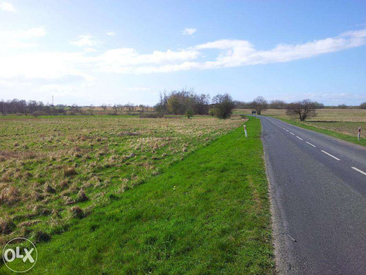 Działka rolna Niechorze. Zdjęcie 4