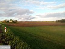 Działka inwestycyjna Bartosze. Zdjęcie 2