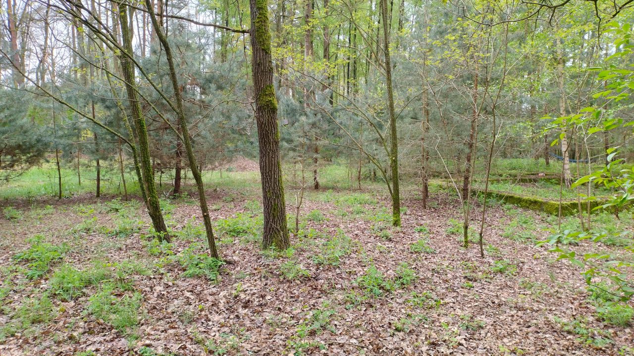 Działka budowlana Zofiówka, ul. Cmentarna. Zdjęcie 14