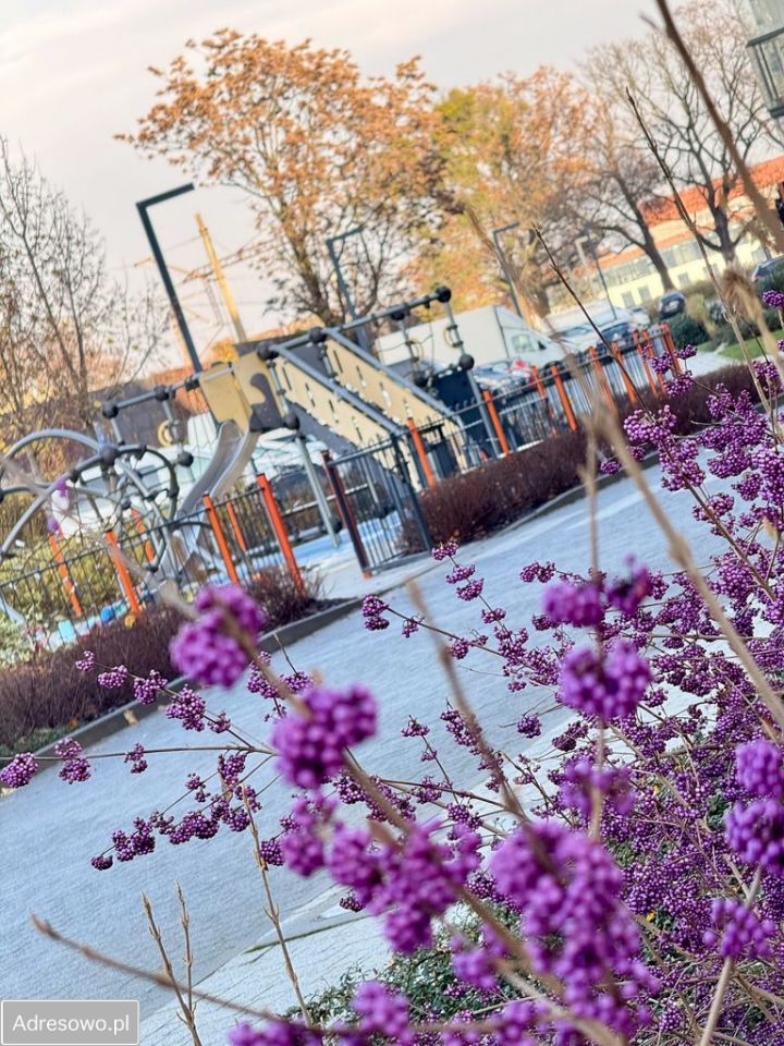 Mieszkanie 2-pokojowe Wrocław Ołbin. Zdjęcie 11