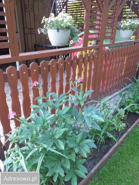 Działka rod Ząbki, ul. Skrajna. Zdjęcie 9