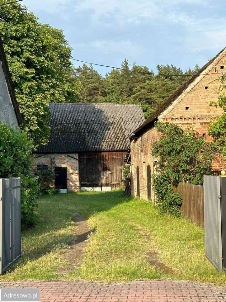 gospodarstwo, 3 pokoje Goszczanowo. Zdjęcie 11
