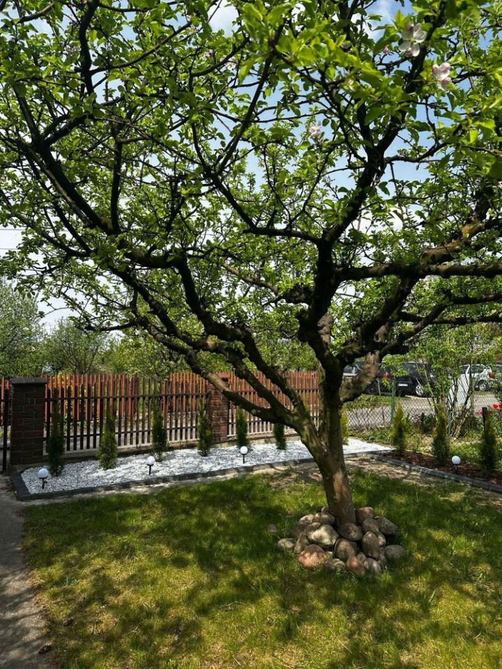 Działka rod Kalisz. Zdjęcie 8