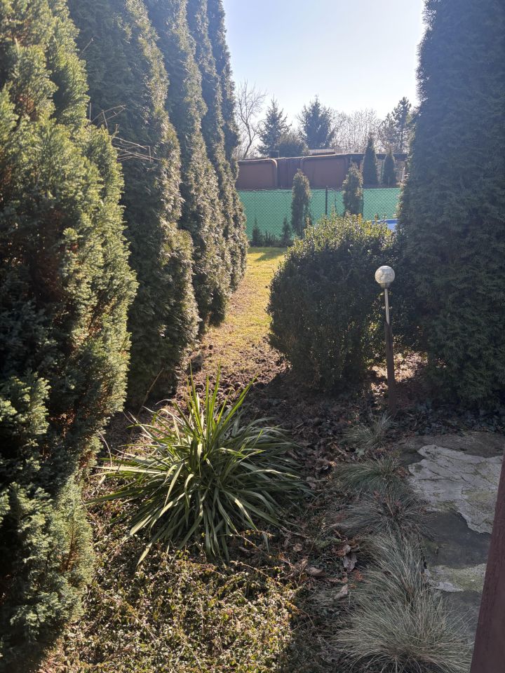 Działka rekreacyjna Sosnowiec Niwka, ul. Juliana Tuwima. Zdjęcie 12