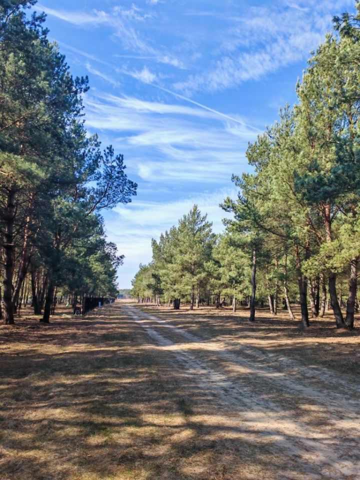 Działka budowlana Choinek. Zdjęcie 2