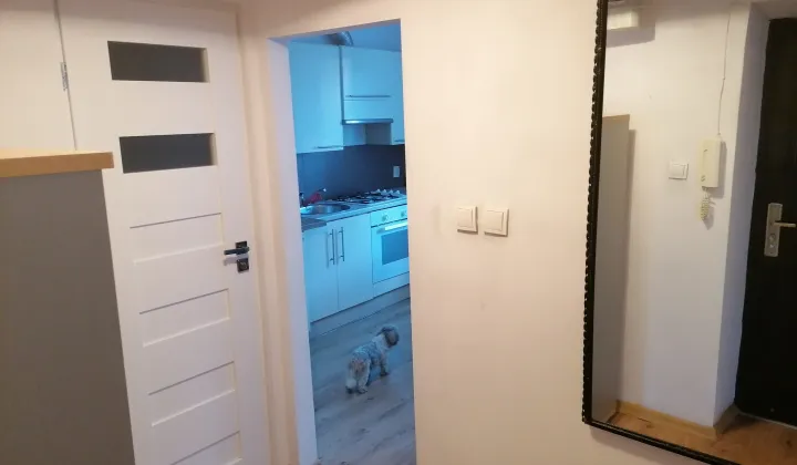 Mieszkanie 2-pokojowe Warszawa Ursus, ul. 1 Maja