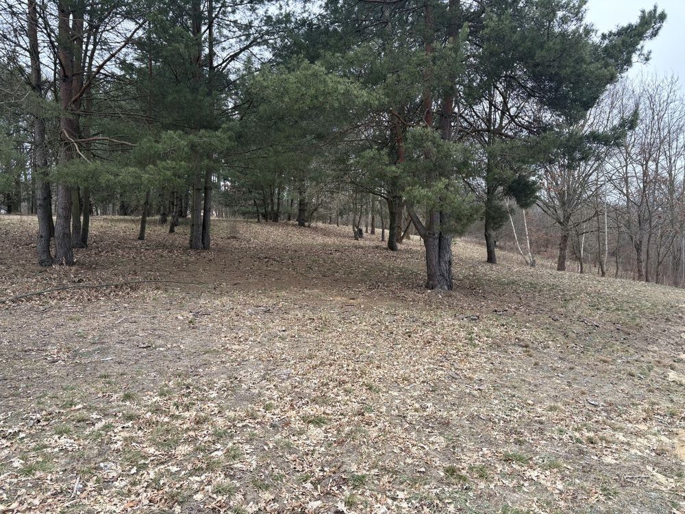 Działka rolno-budowlana Bydgoszcz Fordon. Zdjęcie 8