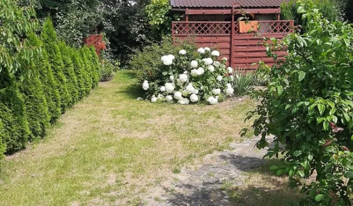 Działka rod Sochaczew