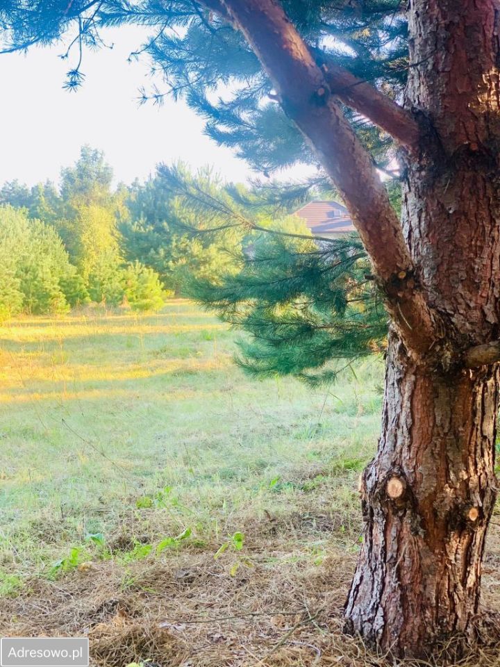 Działka budowlana Częstochowa Grabówka, ul. Gruszowa. Zdjęcie 17