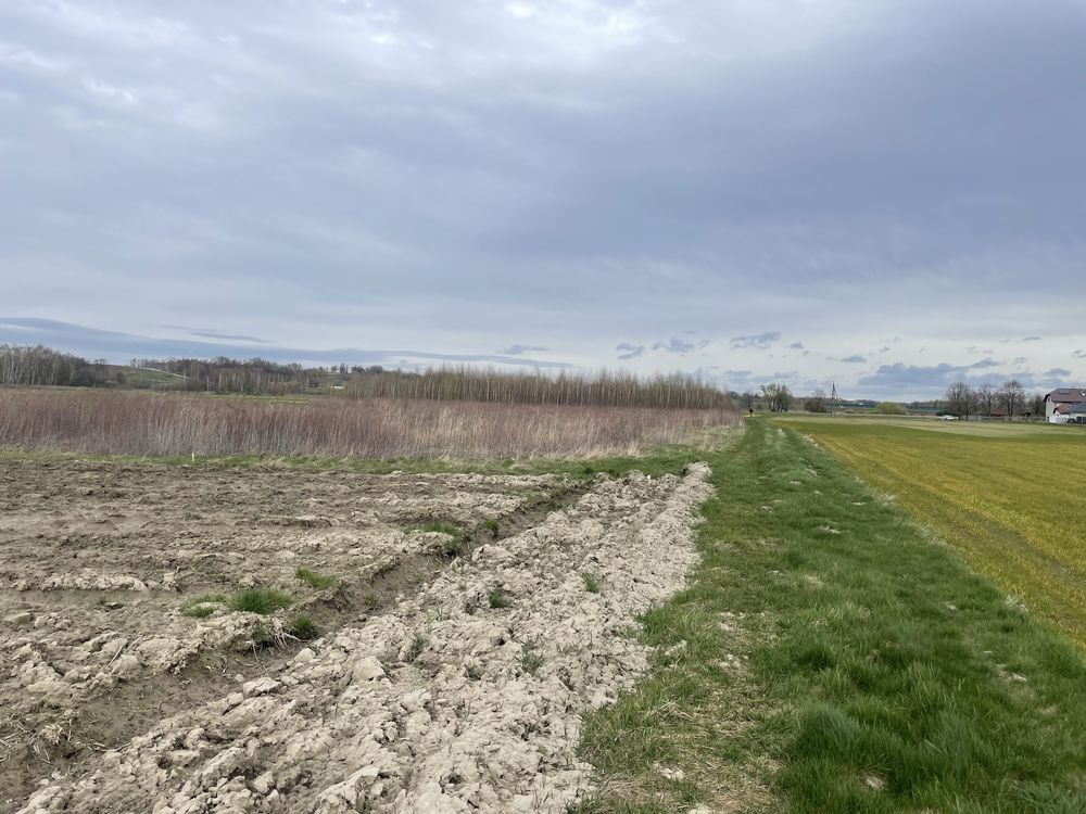 Działka budowlana Straszęcin. Zdjęcie 6