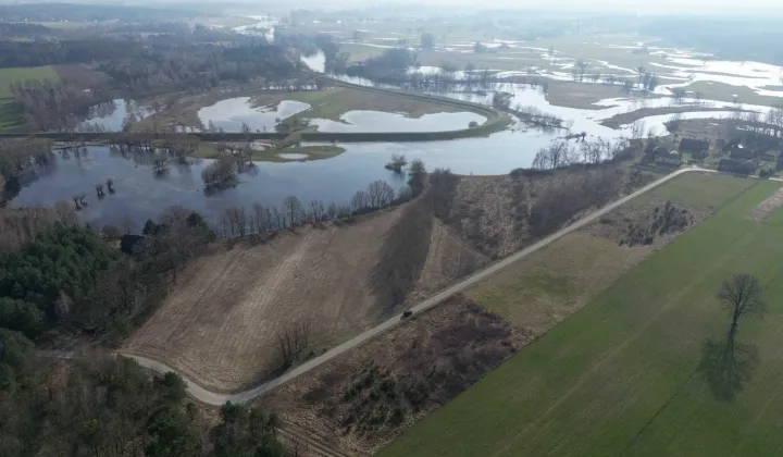 Działka leśna Nowa Wieś-Śladów