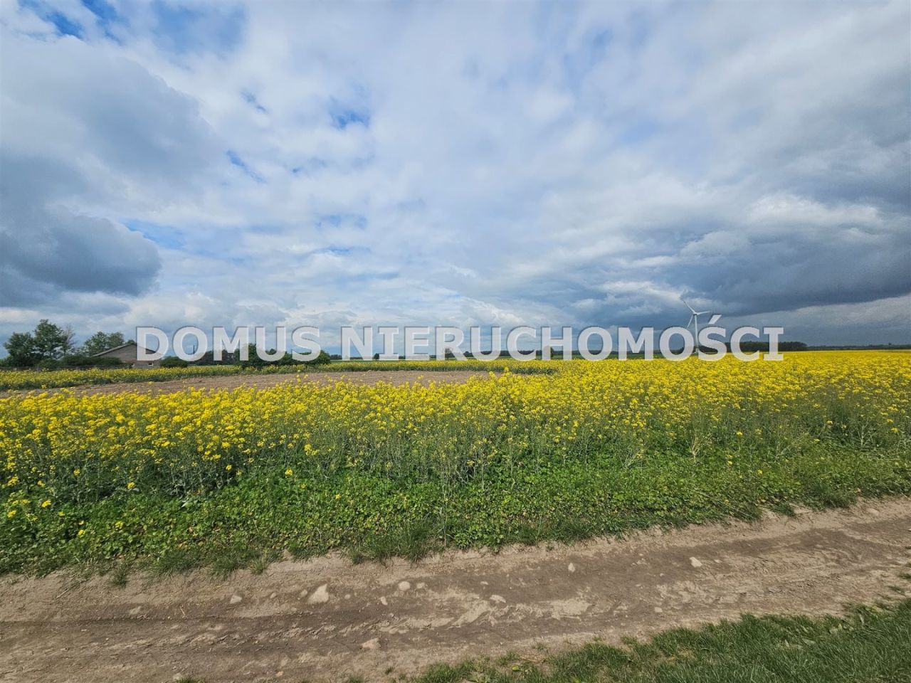 Działka rolna Stefanów. Zdjęcie 5