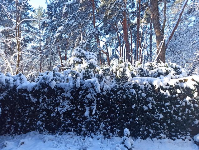 Mieszkanie 4-pokojowe Warszawa Bemowo, ul. Obrońców Tobruku. Zdjęcie 10
