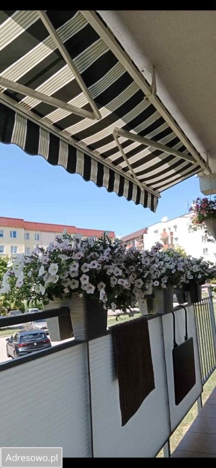 Mieszkanie 3-pokojowe Giżycko, ul. Daszyńskiego. Zdjęcie 6