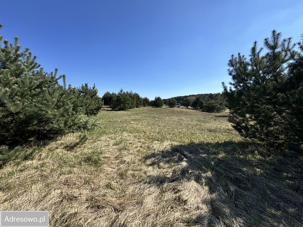 Działka budowlana Czmoniec. Zdjęcie 2