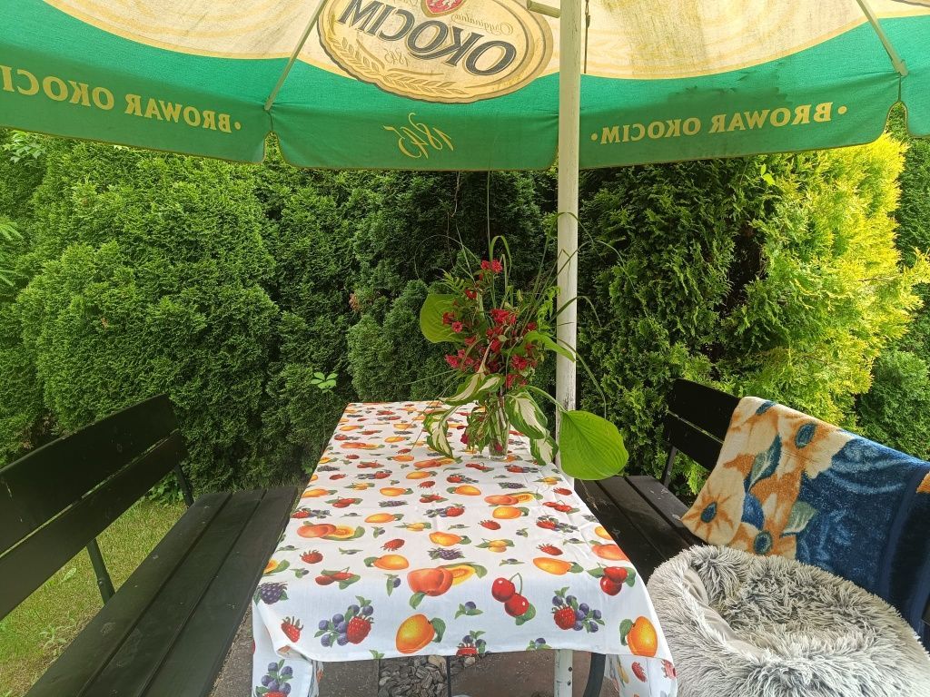 Działka rod Chrzanów, ul. Partyzantów. Zdjęcie 6