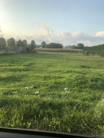 Działka budowlana Kębłowo, ul. Wybickiego. Zdjęcie 1