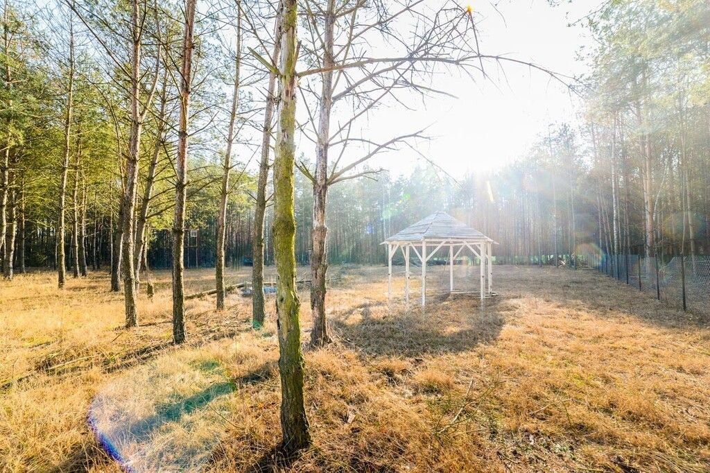 Działka rekreacyjna Śliski. Zdjęcie 4