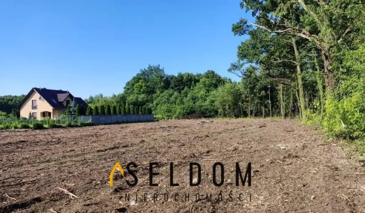 Działka budowlana Dąbrowa