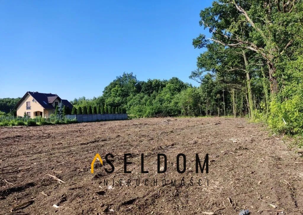 Działka budowlana Dąbrowa
