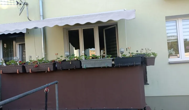 Mieszkanie 2-pokojowe Strzelce Krajeńskie