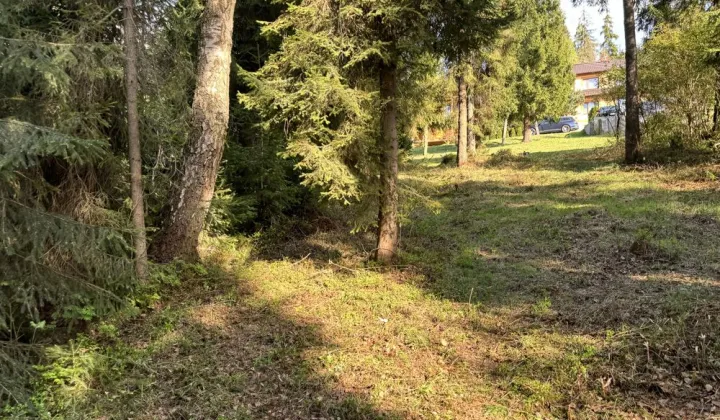 Działka rolna Pyzówka