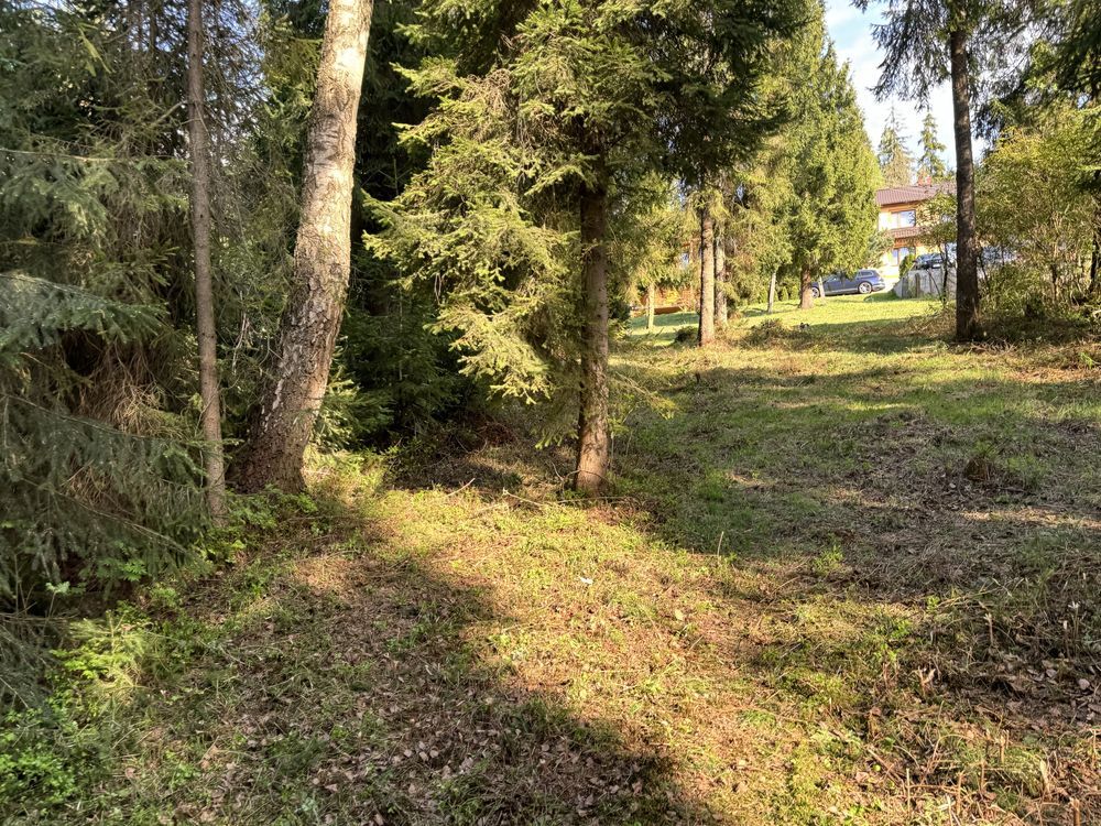 Działka rolna Pyzówka. Zdjęcie 1