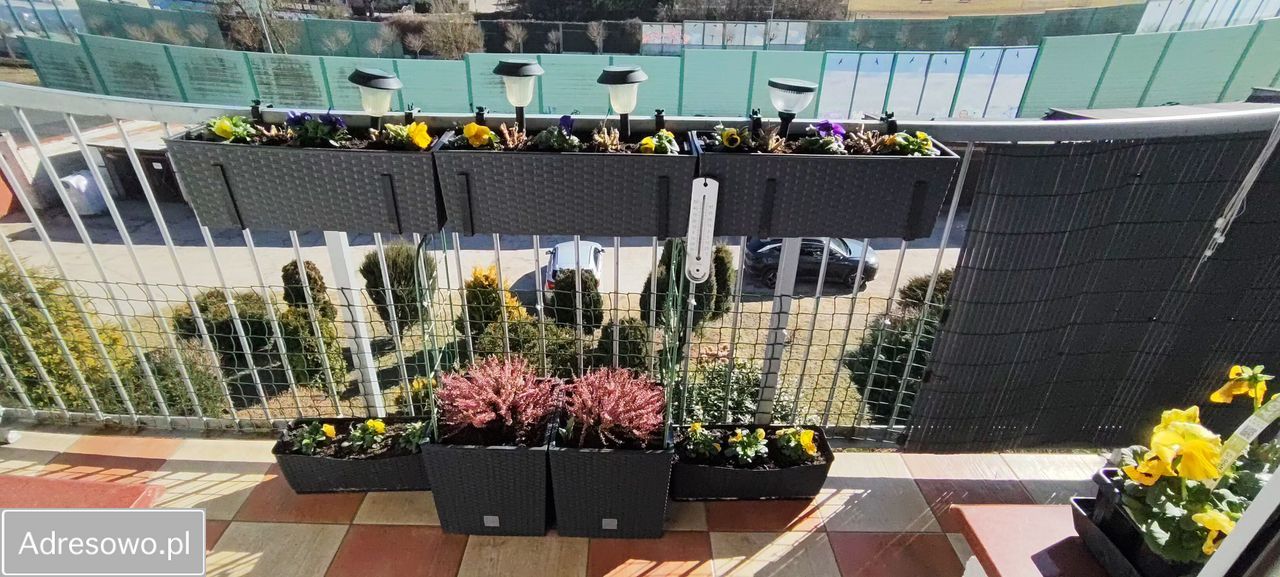 Mieszkanie 3-pokojowe Koszalin Centrum, ul. Legnicka. Zdjęcie 7