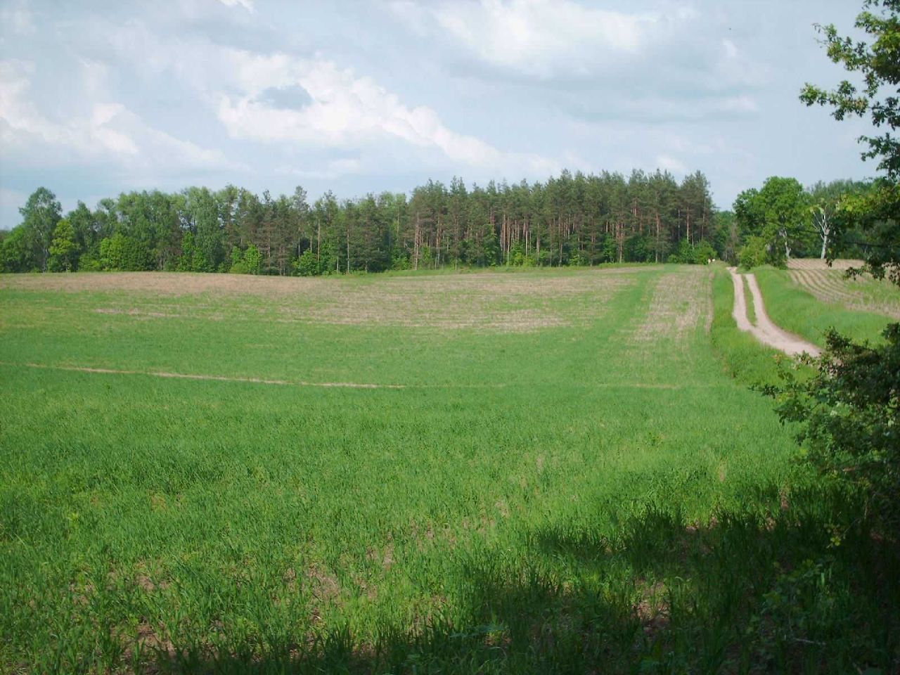 Działka budowlana Kozłowo. Zdjęcie 7