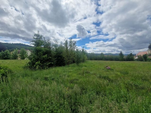 Działka inwestycyjna Sosnówka, ul. Liczyrzepy. Zdjęcie 5