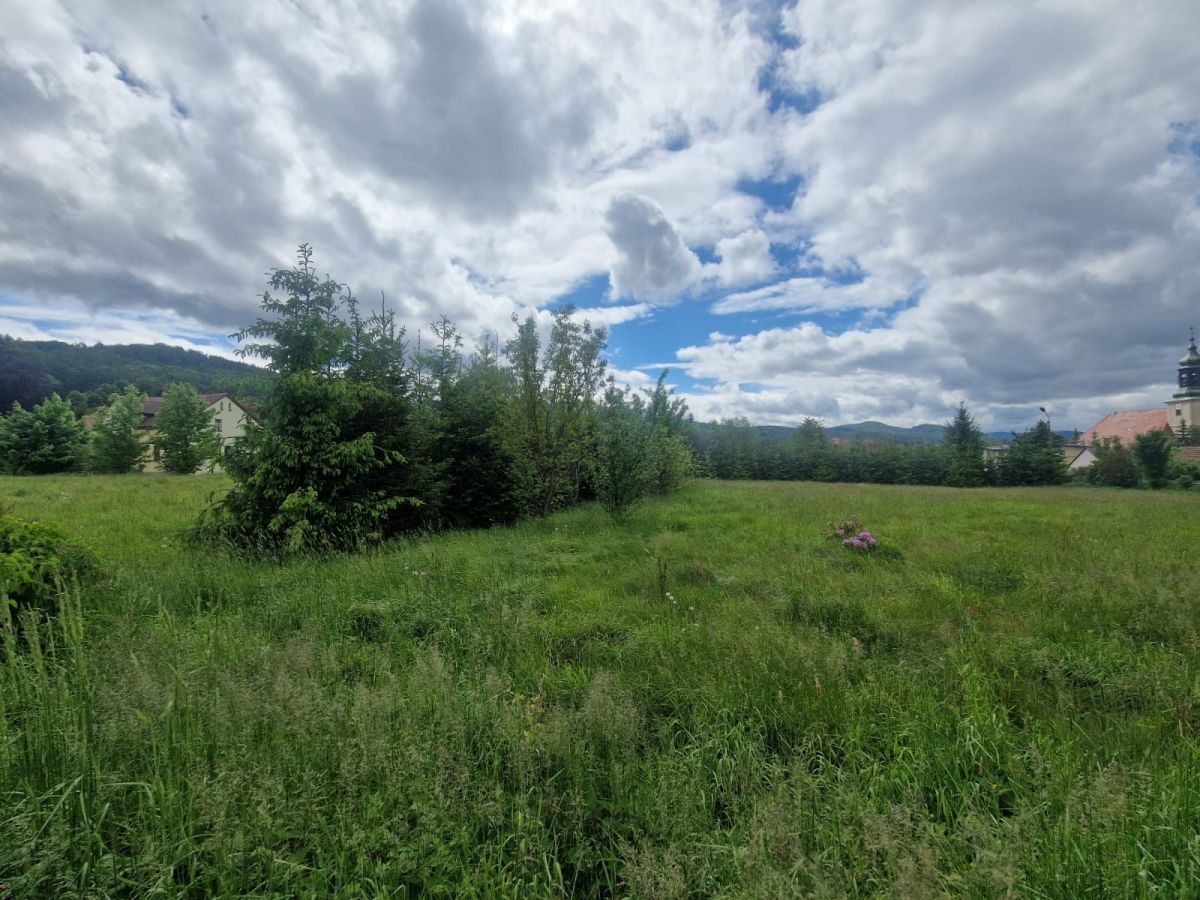 Działka inwestycyjna Sosnówka, ul. Liczyrzepy. Zdjęcie 5