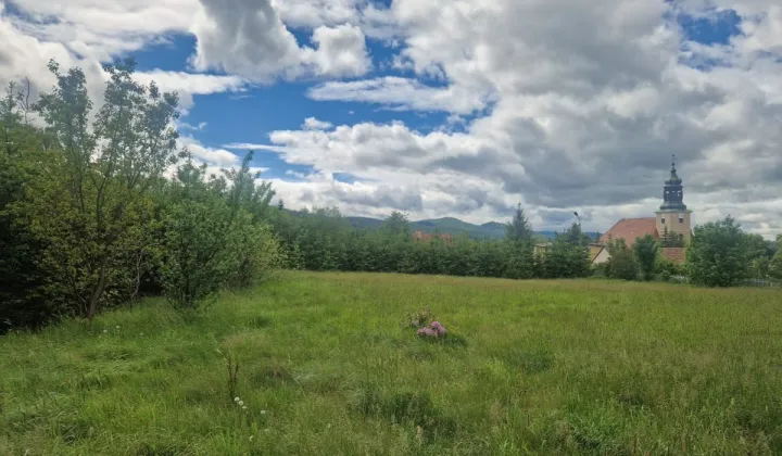 Działka inwestycyjna Sosnówka, ul. Liczyrzepy