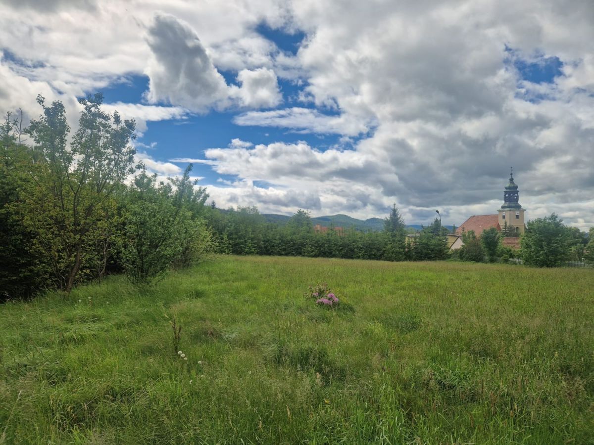 Działka inwestycyjna Sosnówka, ul. Liczyrzepy. Zdjęcie 1